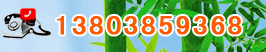 �Ԓ��13803859368